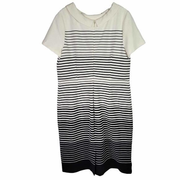 Talbots Dress Womens Size 12 Black White Stripe SS Cotton Stretch Peter Pan - Picture 2 of 7